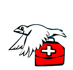 Bird Carrying Medical Kit