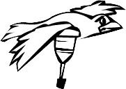 Broken Bird