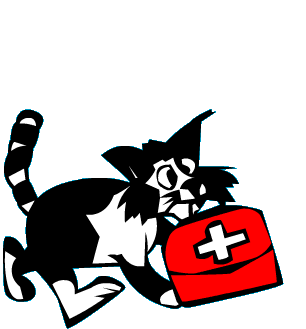 Cat Animation