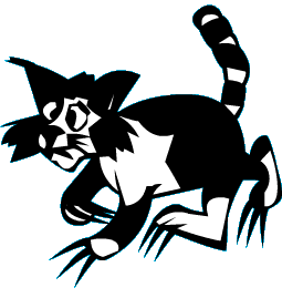 Scraggly Cat